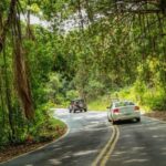 a car driving down a street near a forest