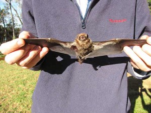a person holding a bird