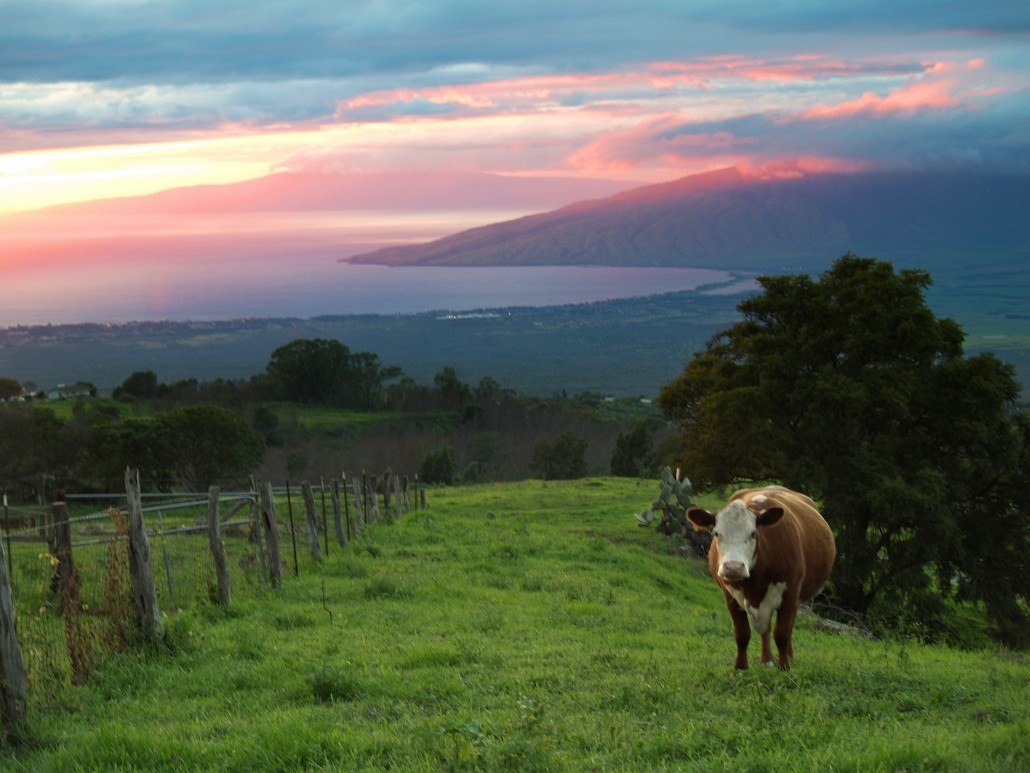 Maui Travel Guide – Hawaiʻi in December