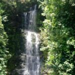 a waterfall in a forest