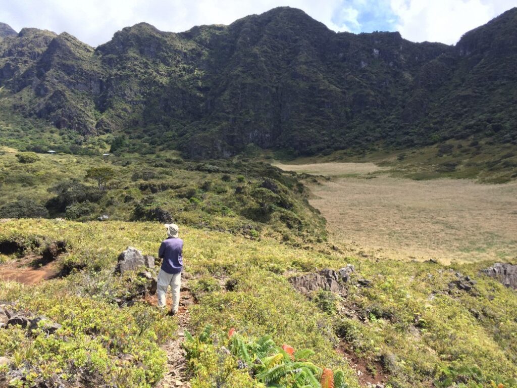 Native Plants & Animals Haleakala | Valley Isle Excursions