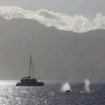 a large ship in a body of water with a mountain in the background