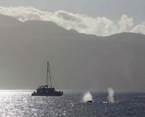 a large ship in a body of water with a mountain in the background