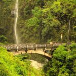 a train crossing a bridge over a river in a forest