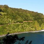 a small island in the middle of a body of water with Hana Highway in the background