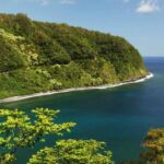 a body of water surrounded by trees with Hana Highway in the background