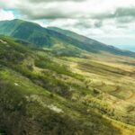 a view of a lush green hillside
