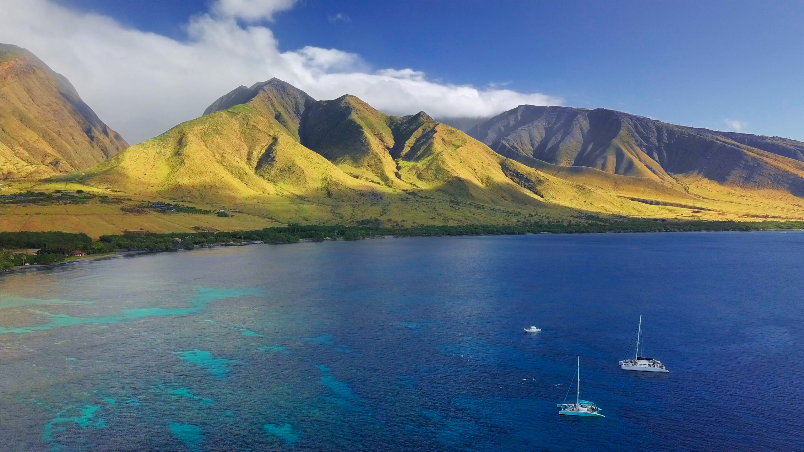 Maui in the Summer