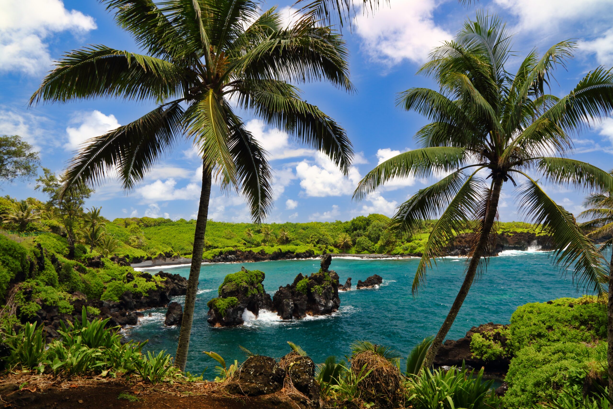 Waianapanapa Black Sand Beach on the island of Maui on the Road to Hana.
