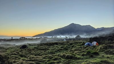 Haleakala-National-Park-tour-maui-scaled-img
