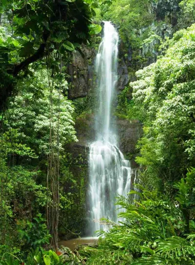 Hana-Waterfall-tour-maui