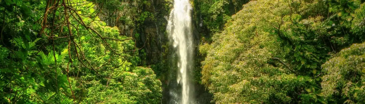 hana-waterfall-tour-maui-1