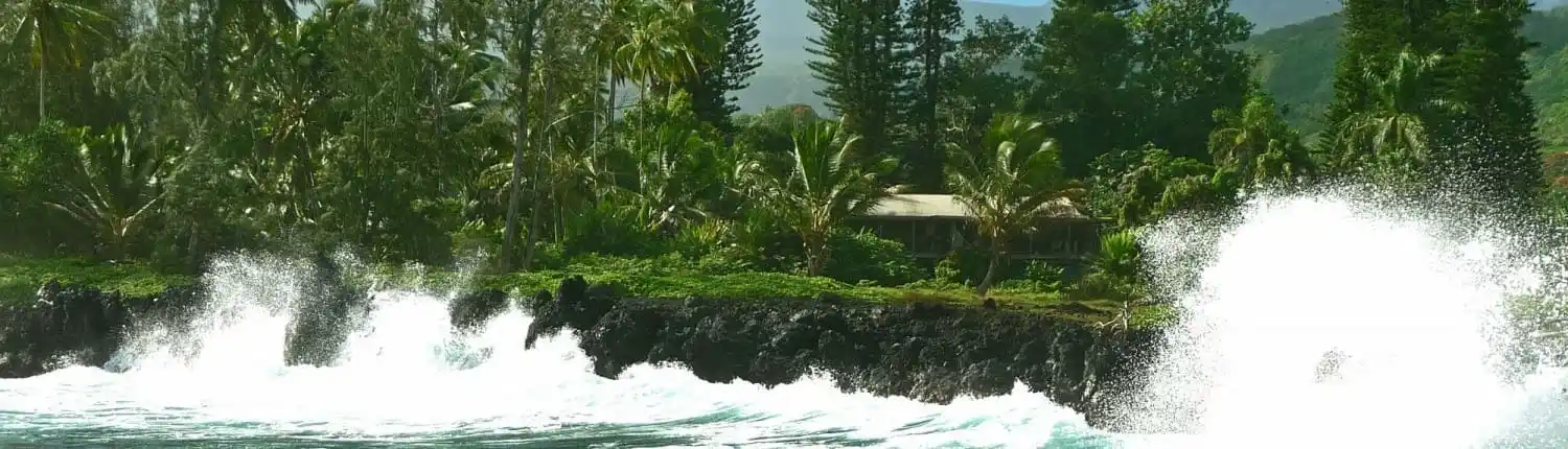 keanae-waves-tour-maui