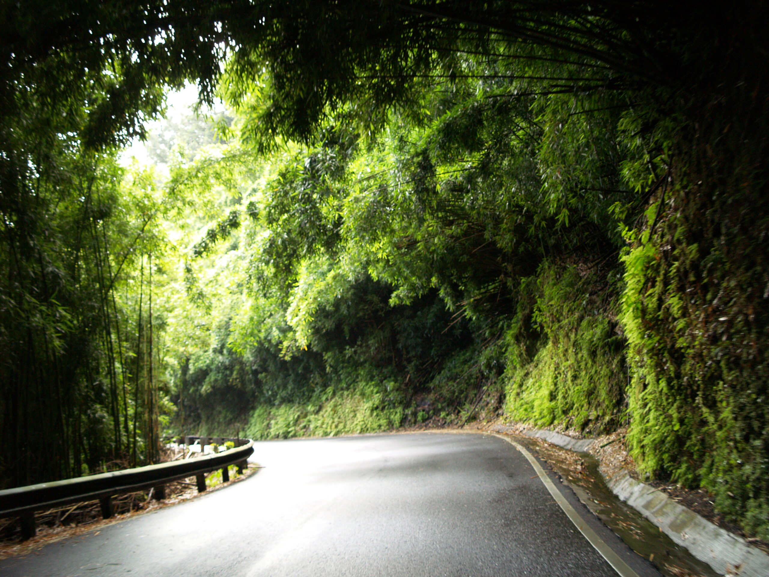 Top 5 Stops on the Road to Hāna
