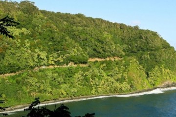 a body of water surrounded by trees with Hana Highway in the background